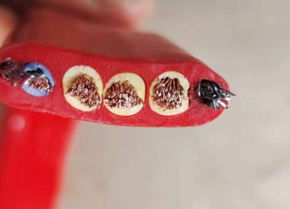 河北電纜線、河間電纜線、圓形扁形動(dòng)力電纜廠家批發(fā)零售