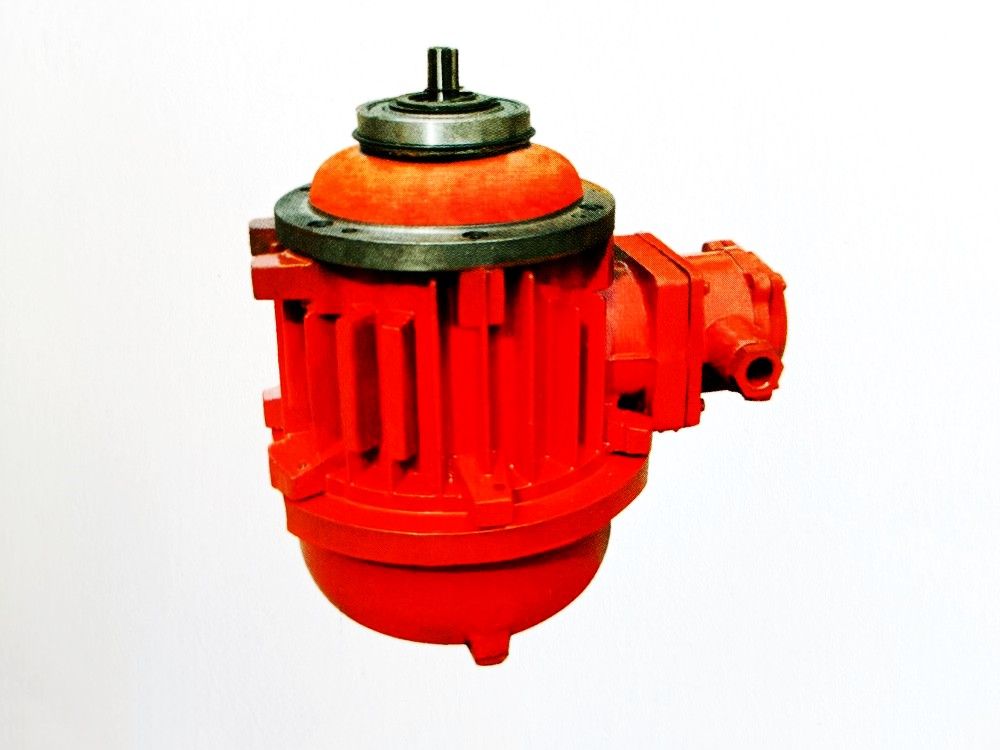 BZD/BZDY/BZDM隔爆型錐形轉(zhuǎn)子三相異步電動機(jī)