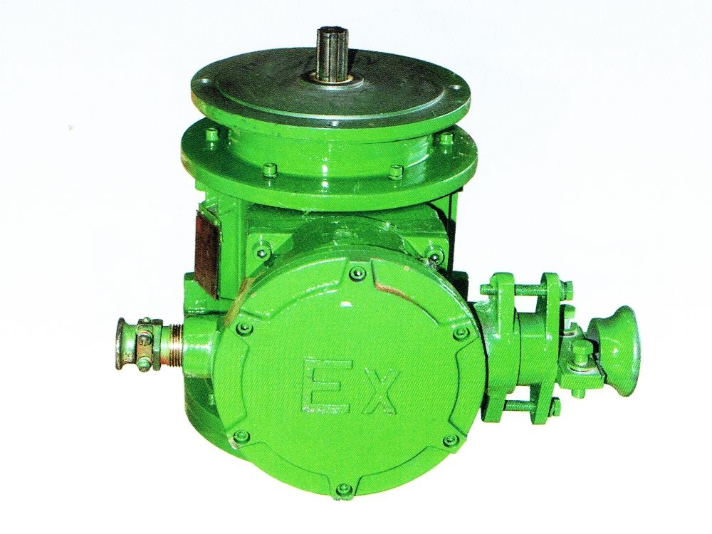 BZDY系列隔爆型錐形轉(zhuǎn)子三相異步電動機(jī)(一機(jī)雙速大盤)